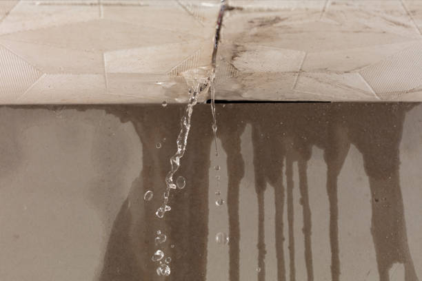 Professional Sewage Cleanup technician working in Ward, SC